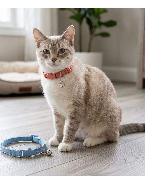 Nookn Breakaway Cat Collar Pair 20-32 cm Coral and Blue with Bells - Lifestyle view