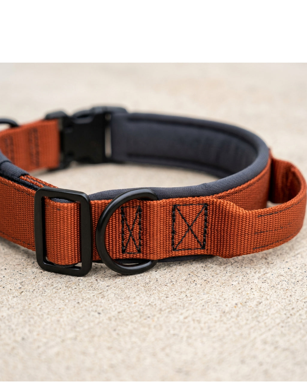 Nookn Padded Dog Collar 45-65 cm Rust Orange Integrated Handle - Detail view