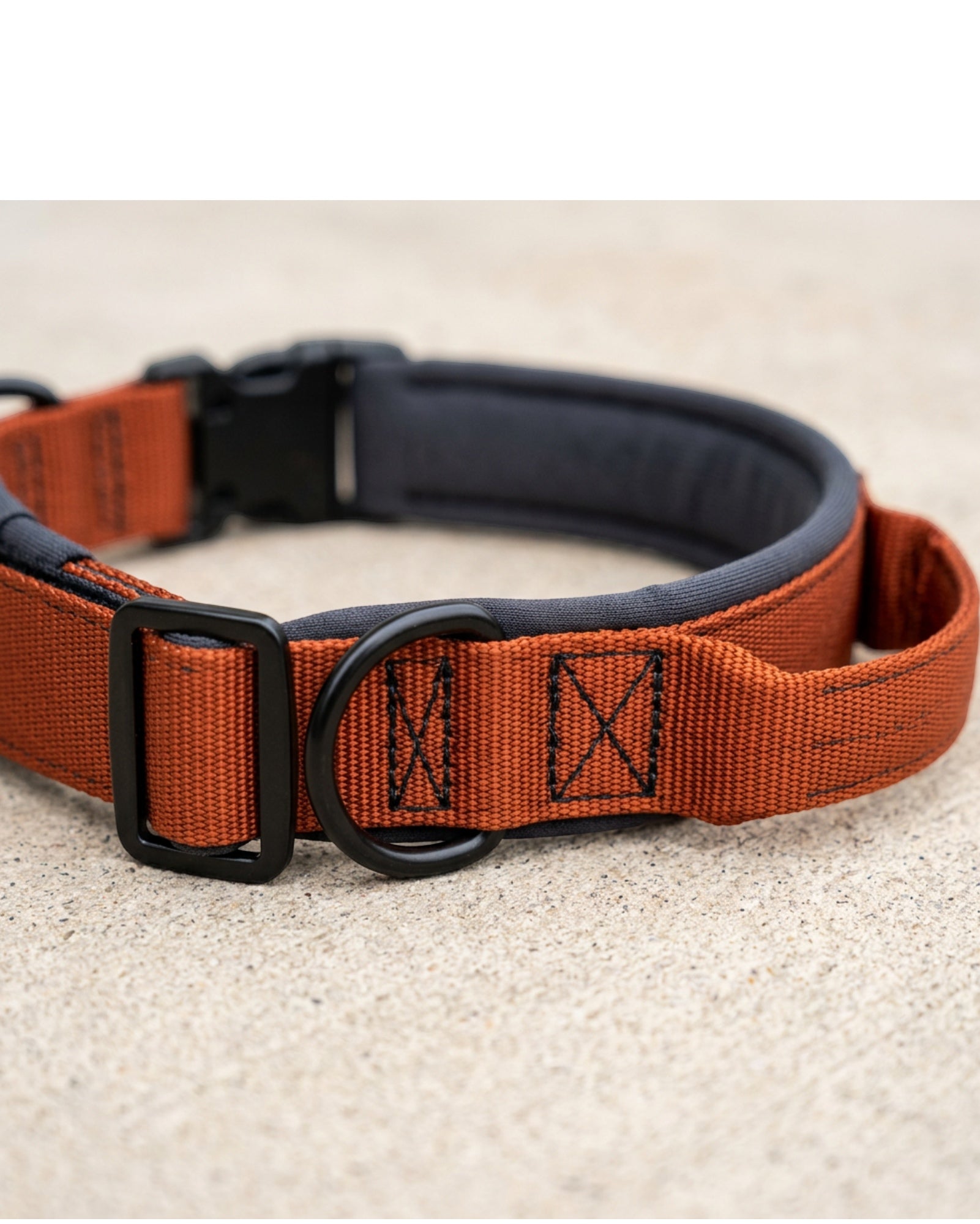 Nookn Padded Dog Collar 45-65 cm Rust Orange Integrated Handle - Detail view